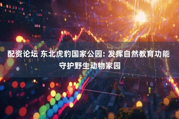 配资论坛 东北虎豹国家公园: 发挥自然教育功能 守护野生动物家园