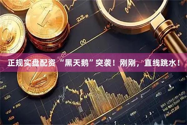 正规实盘配资 “黑天鹅”突袭！刚刚，直线跳水！